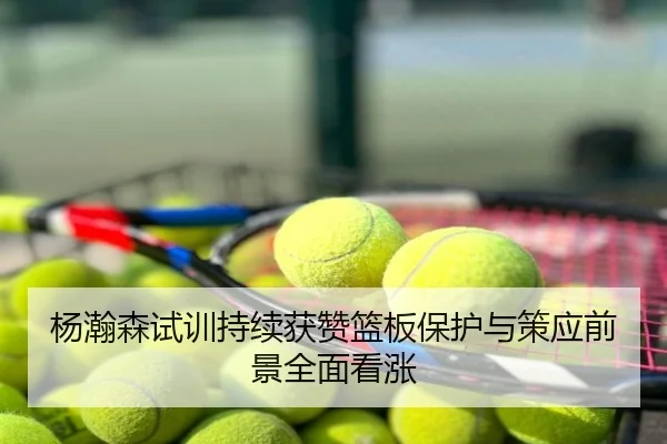 杨瀚森试训持续获赞篮板保护与策应前景全面看涨