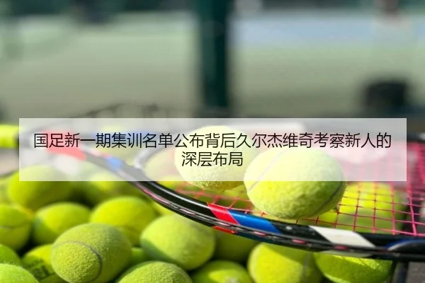 国足新一期集训名单公布背后久尔杰维奇考察新人的深层布局